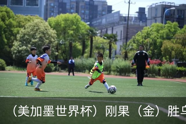 （美加墨世界杯）刚果（金）胜乌兹别克斯坦晋级 韩国无缘32强